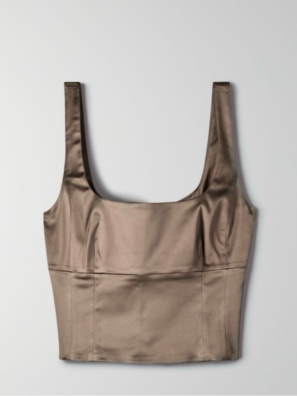 Aritzia Satin Shine Bustier Top - Brown/Taupe